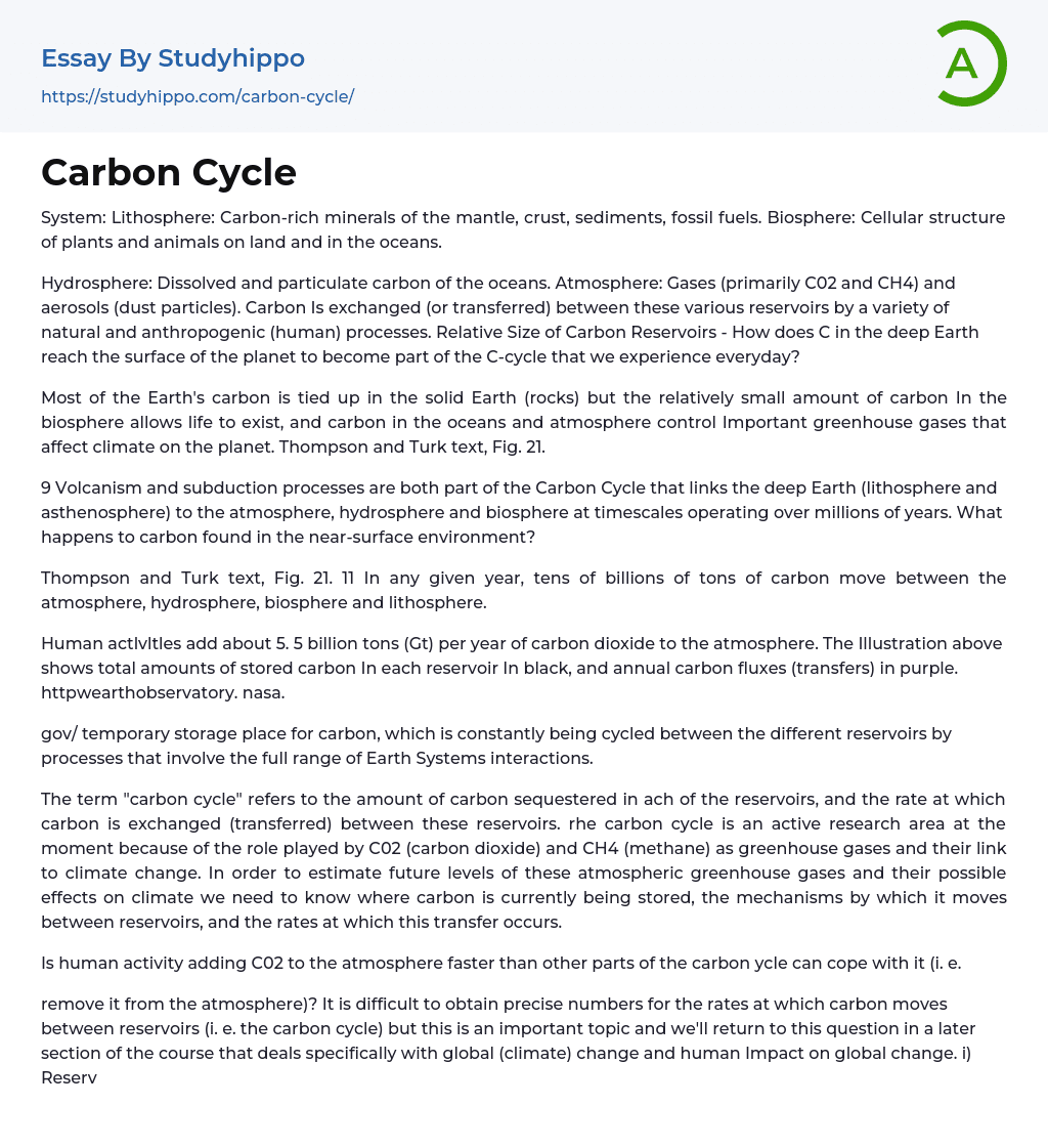 Carbon Cycle Essay Example