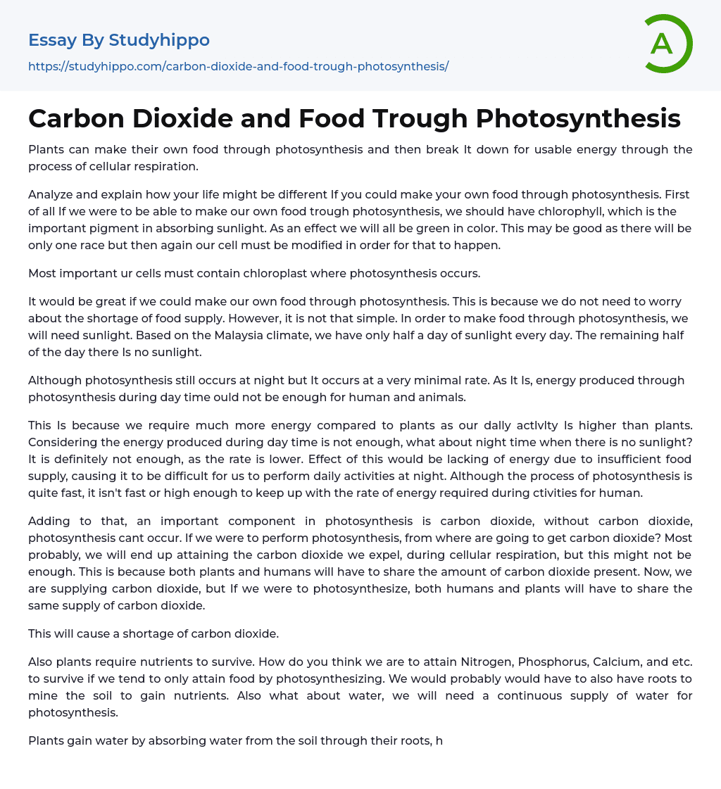 Carbon Dioxide and Food Trough Photosynthesis Essay Example