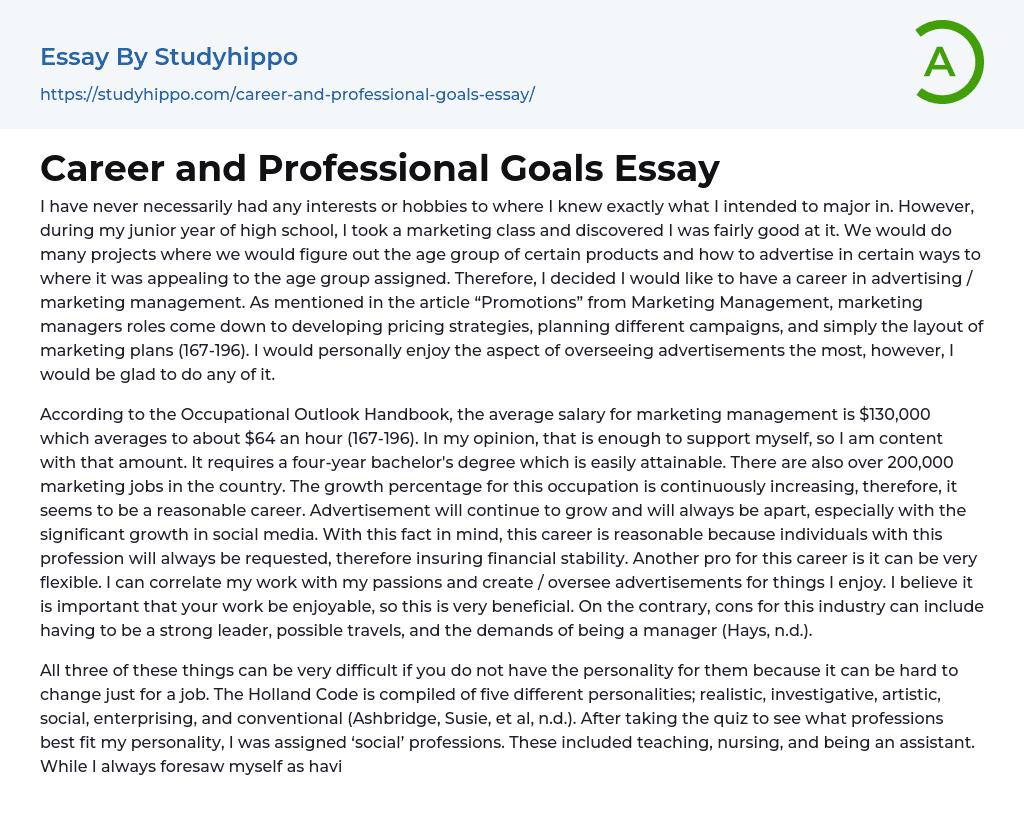 Career and Professional Goals Essay