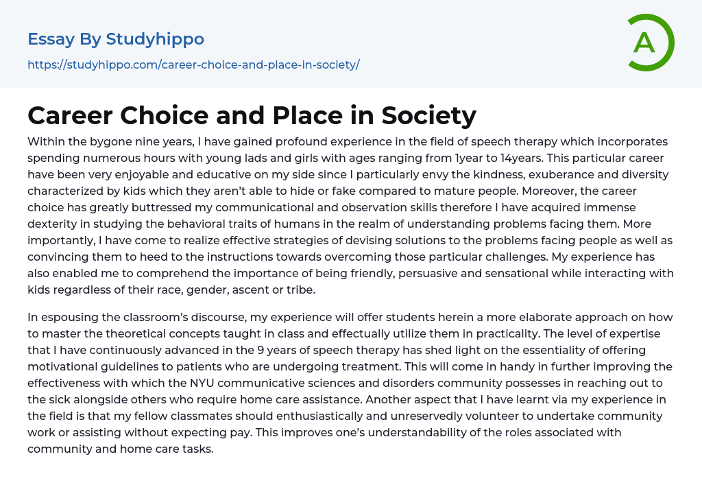 Career Choice and Place in Society Essay Example