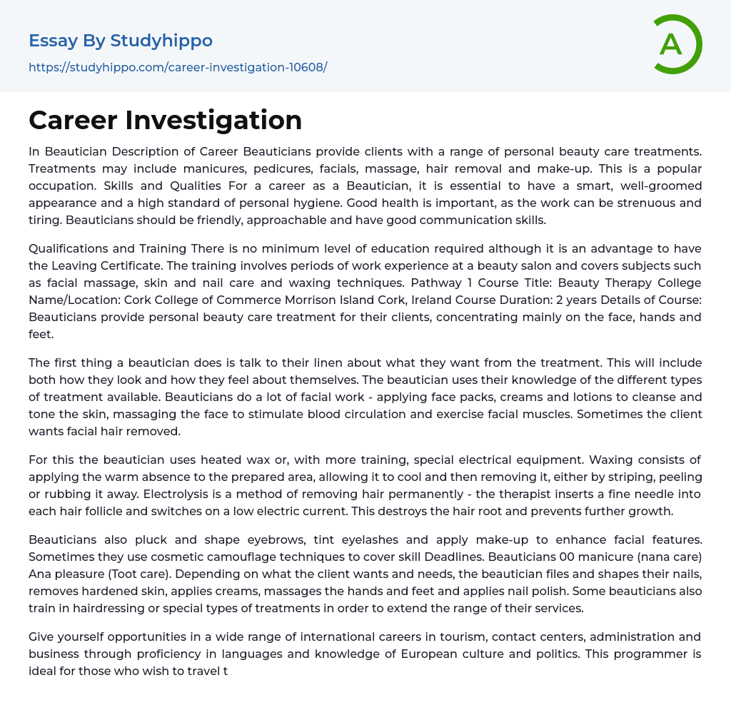 Career Investigation Essay Example