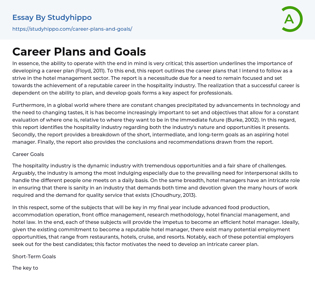 Career Plans and Goals Essay Example