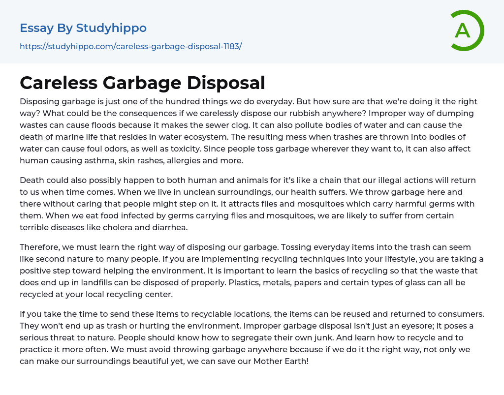 Careless Garbage Disposal Essay Example