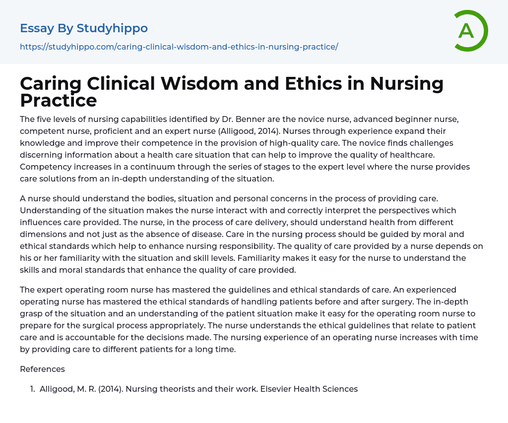 Caring Clinical Wisdom and Ethics in Nursing Practice Essay Example