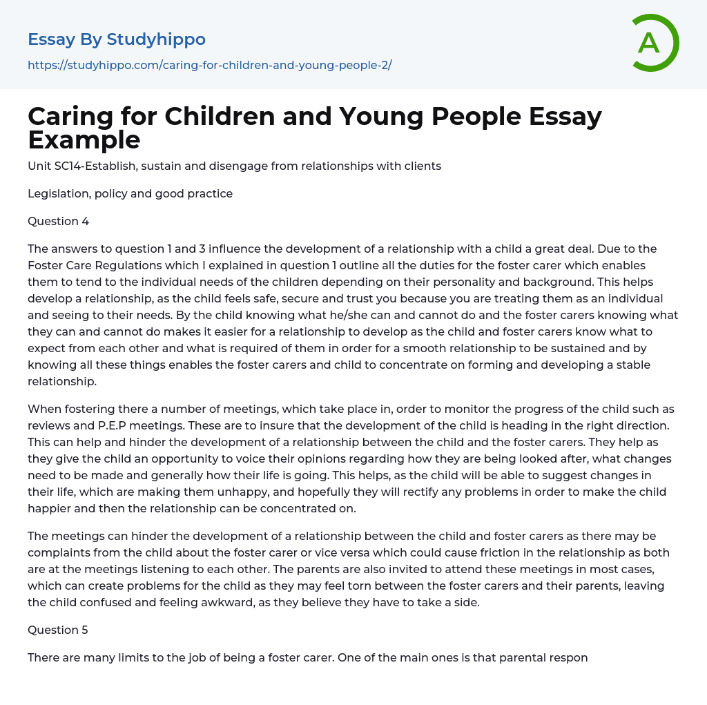 Caring for Children and Young People Essay Example