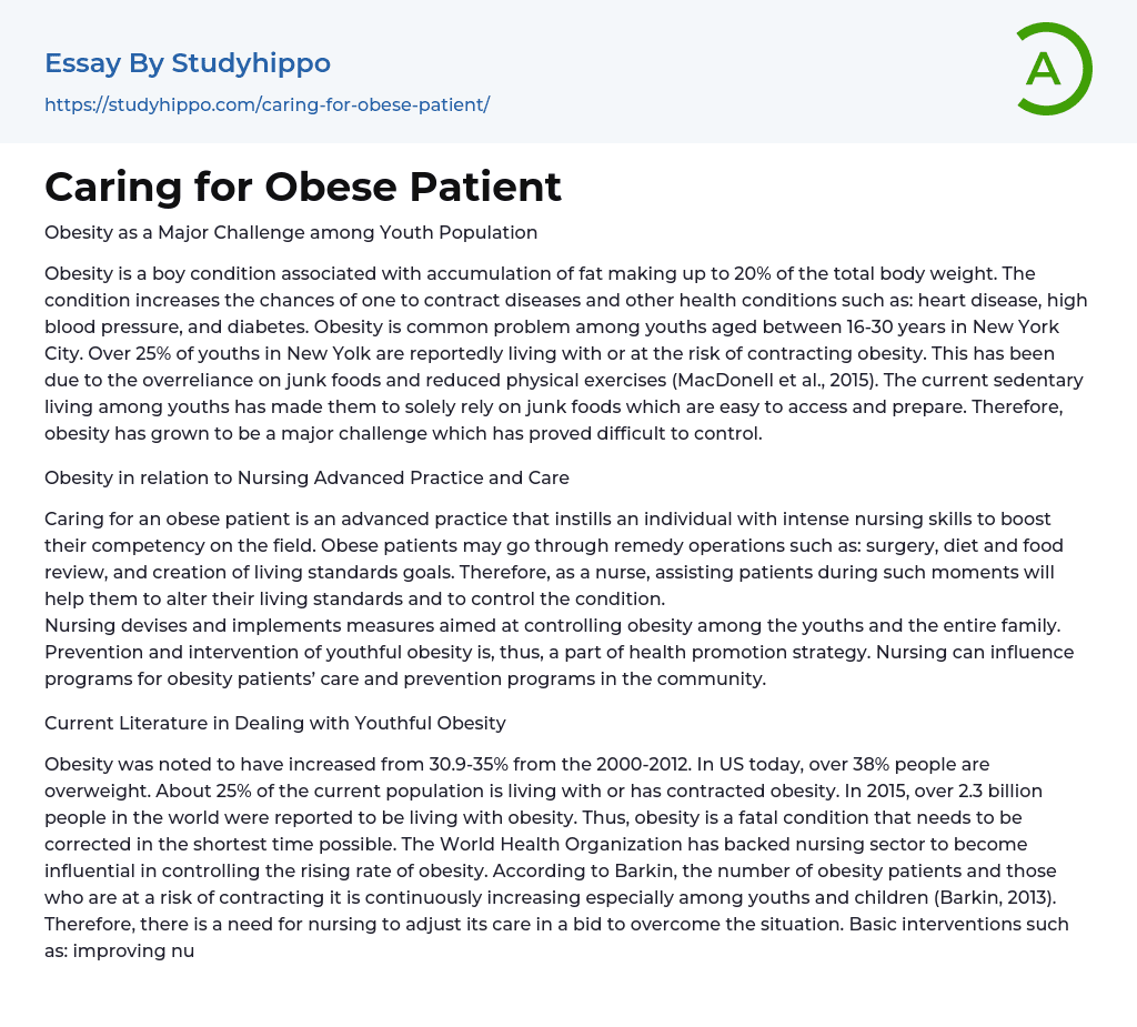 Caring for Obese Patient Essay Example