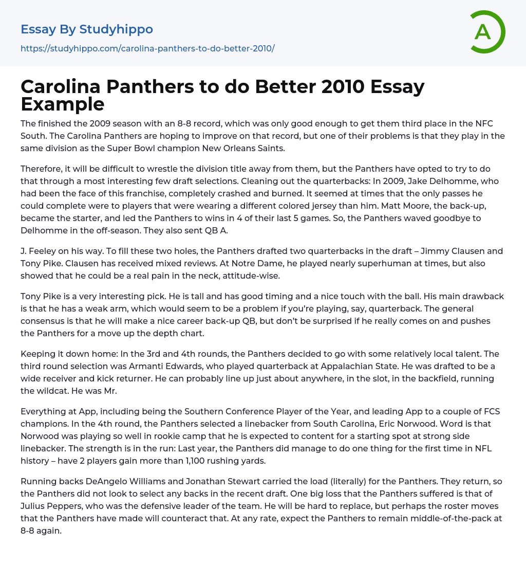 Carolina Panthers to do Better 2010 Essay Example