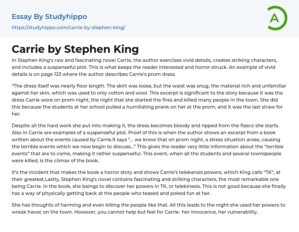 Carrie by Stephen King Essay Example