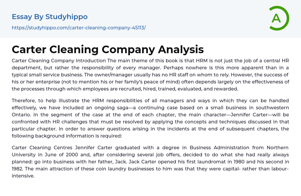 Carter Cleaning Company Analysis Essay Example