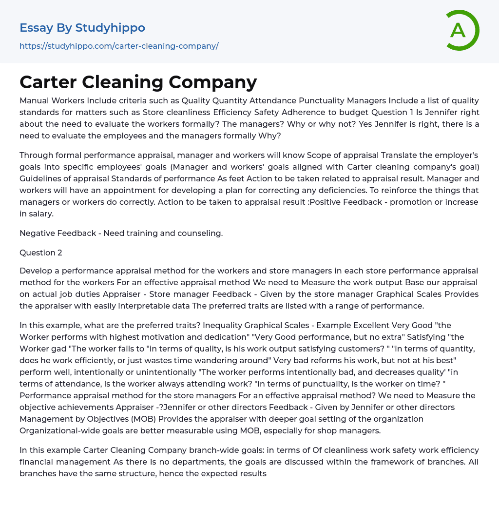 Carter Cleaning Company Essay Example