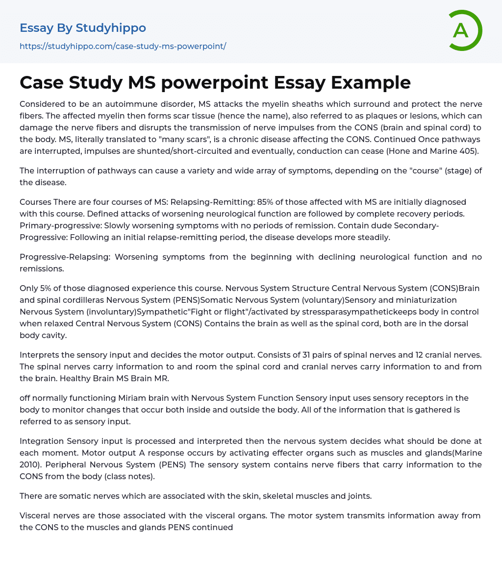 Case Study MS powerpoint Essay Example