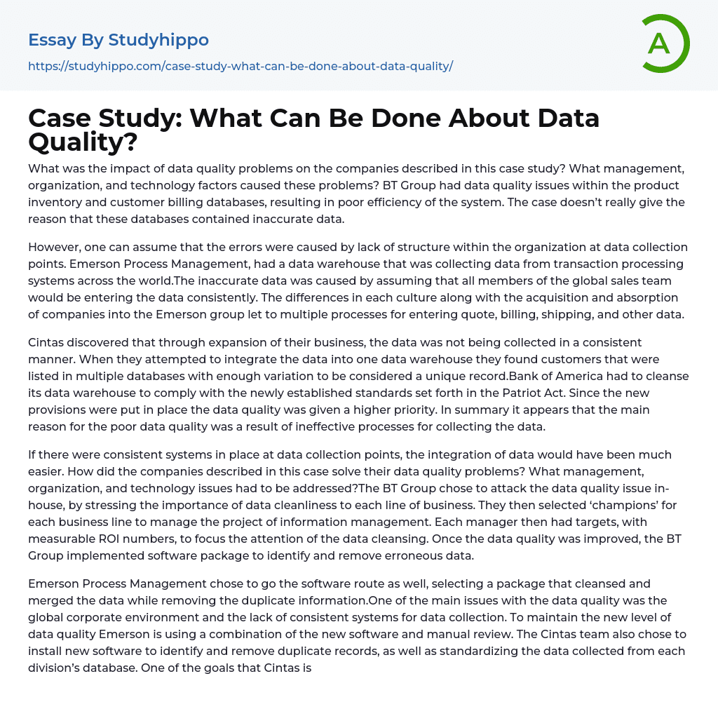 Case Study: What Can Be Done About Data Quality? Essay Example
