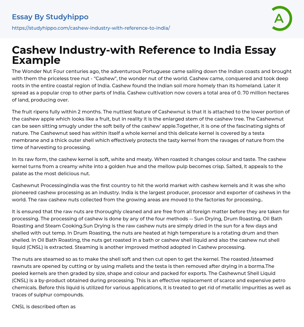 Cashew Industry-with Reference to India Essay Example