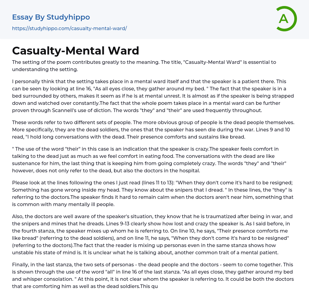 Casualty-Mental Ward Essay Example