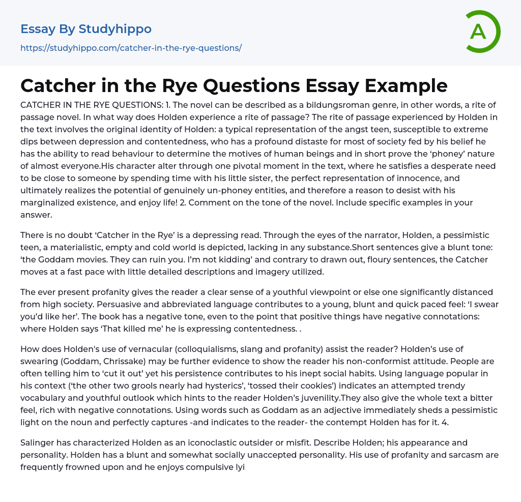“Catcher in the Rye” Questions and Answers Essay Example