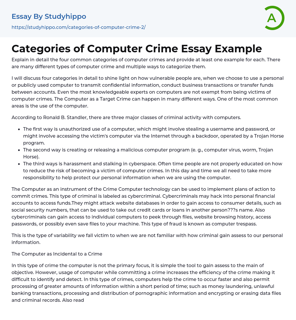 Categories of Computer Crime Essay Example