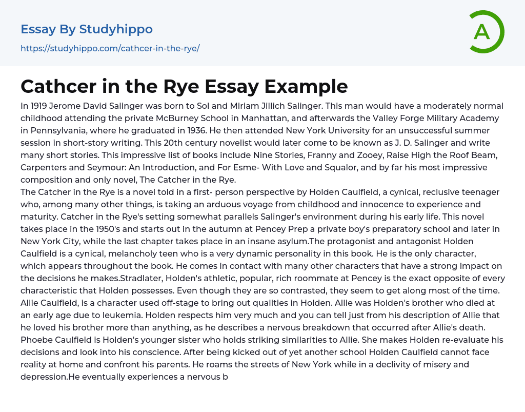 Cathcer in the Rye Essay Example
