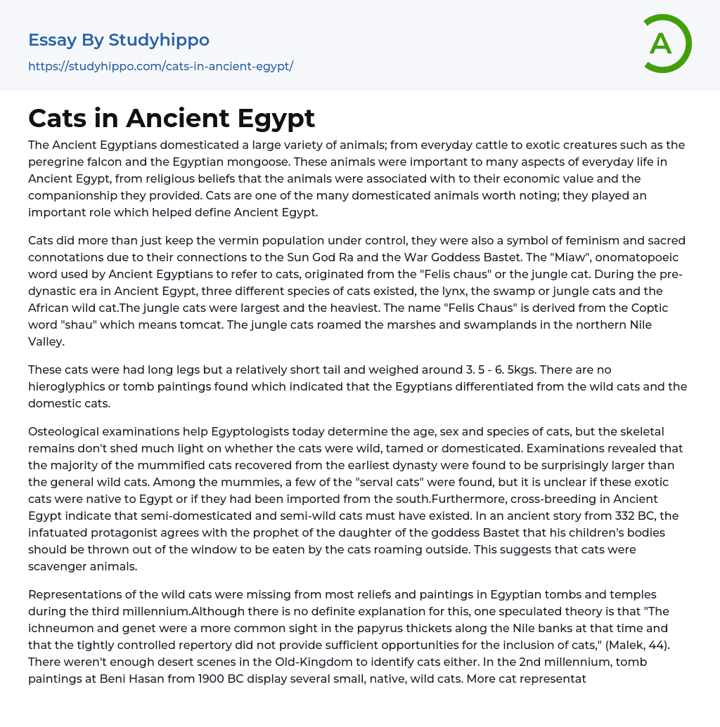 Cats in Ancient Egypt Essay Example