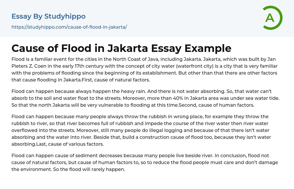 Cause of Flood in Jakarta Essay Example