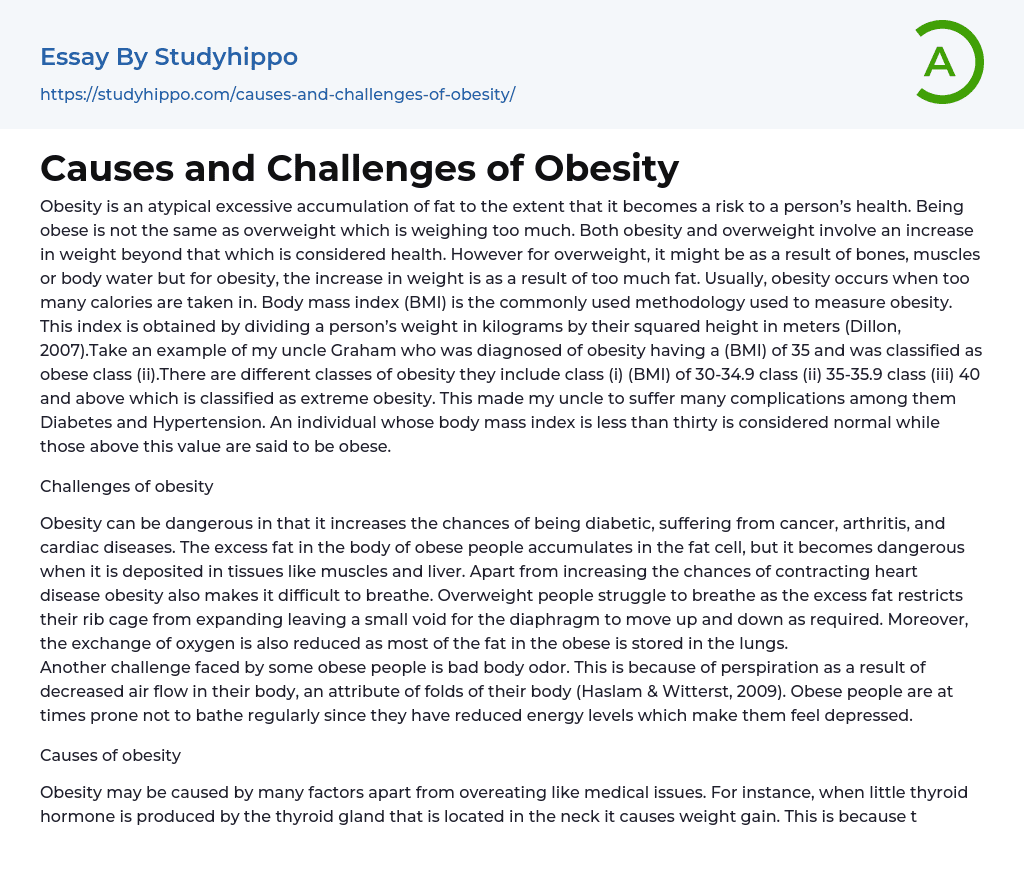 Causes and Challenges of Obesity Essay Example
