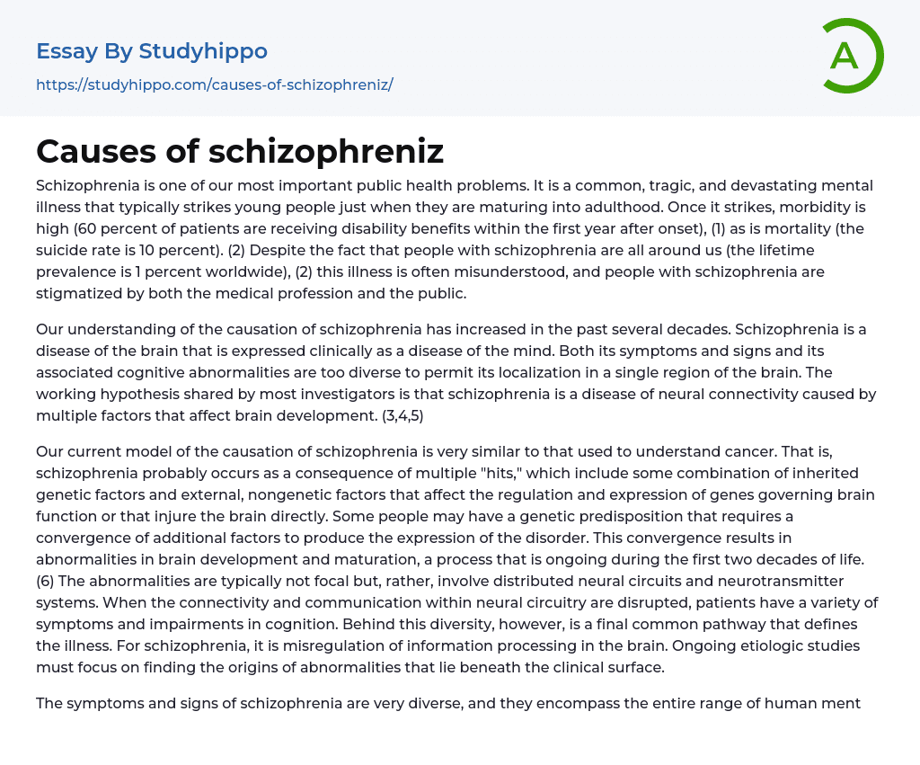 Causes of schizophreniz Essay Example