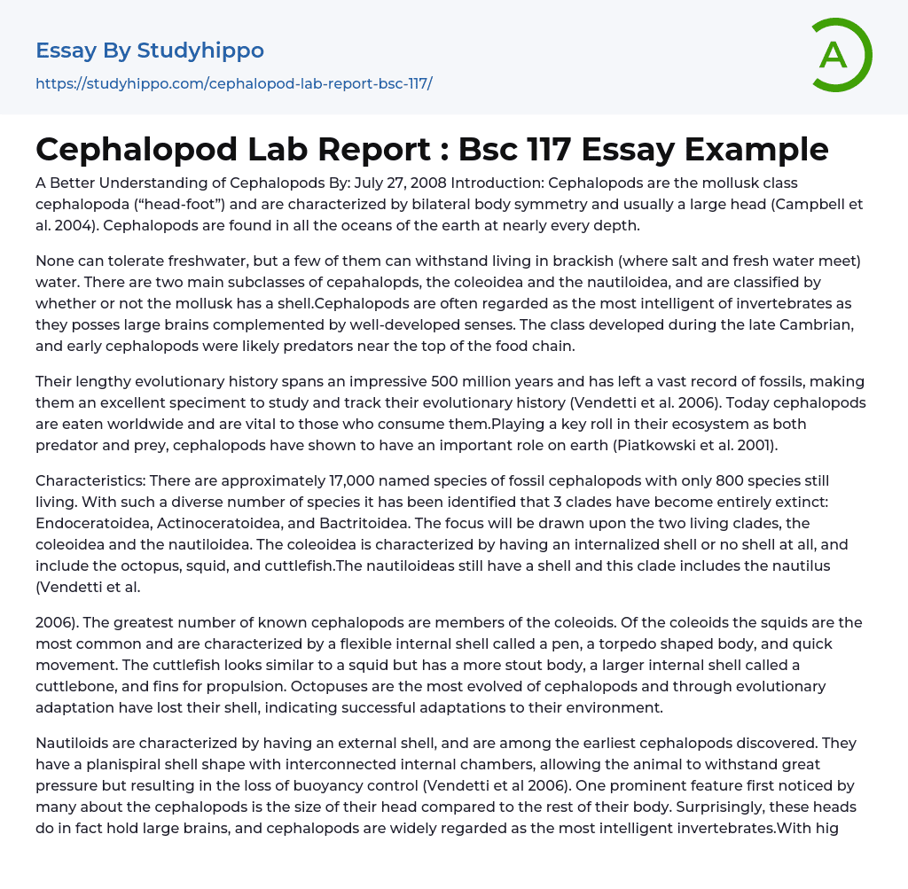 Cephalopod Lab Report : Bsc 117 Essay Example