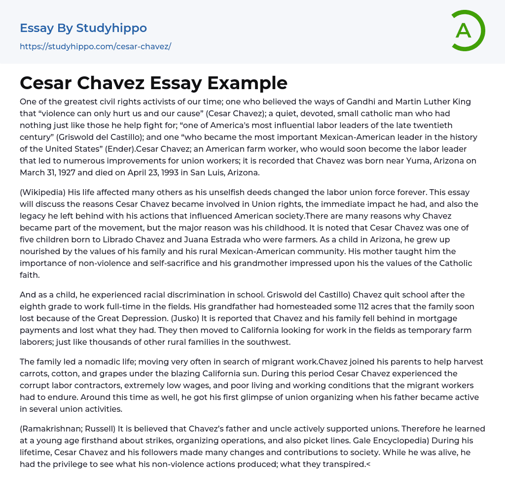 Cesar Chavez Essay Example
