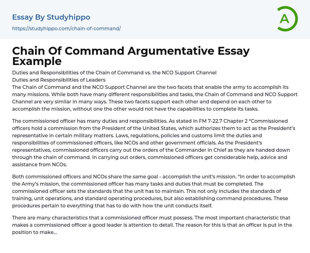 Chain Of Command Argumentative Essay Example