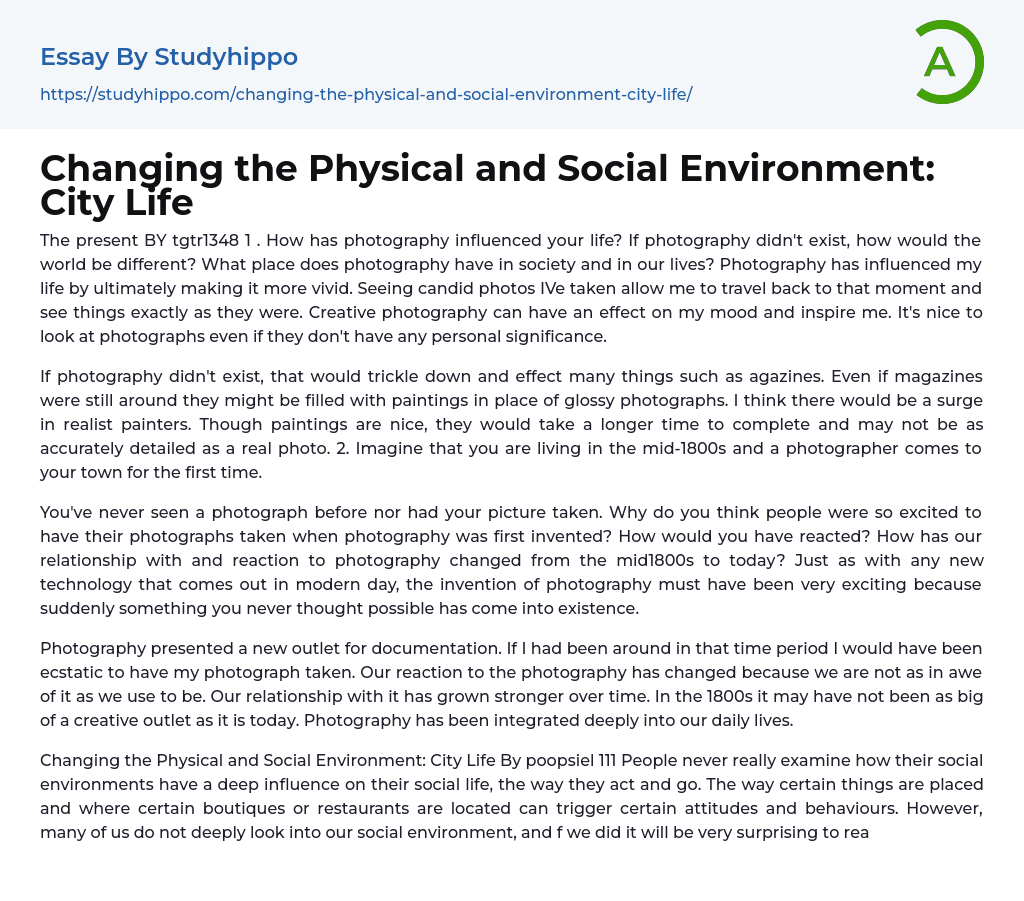 Changing the Physical and Social Environment: City Life Essay Example
