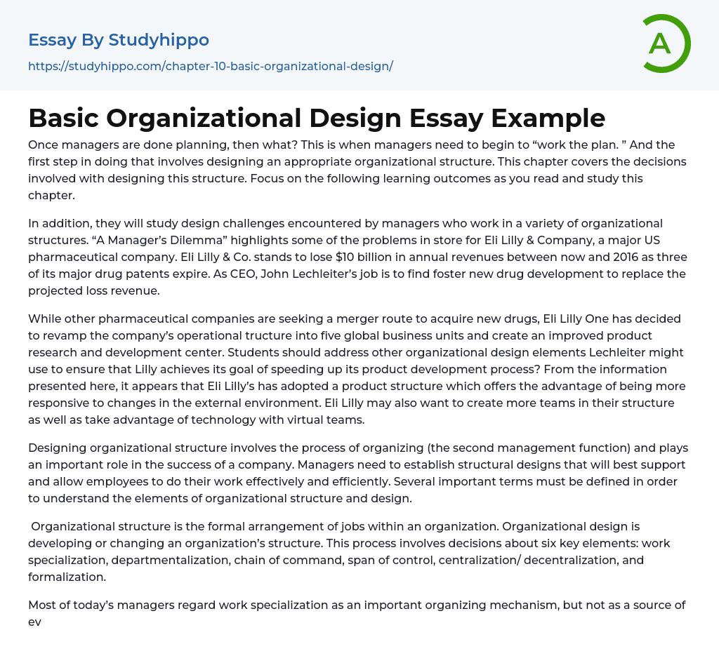 Basic Organizational Design Essay Example