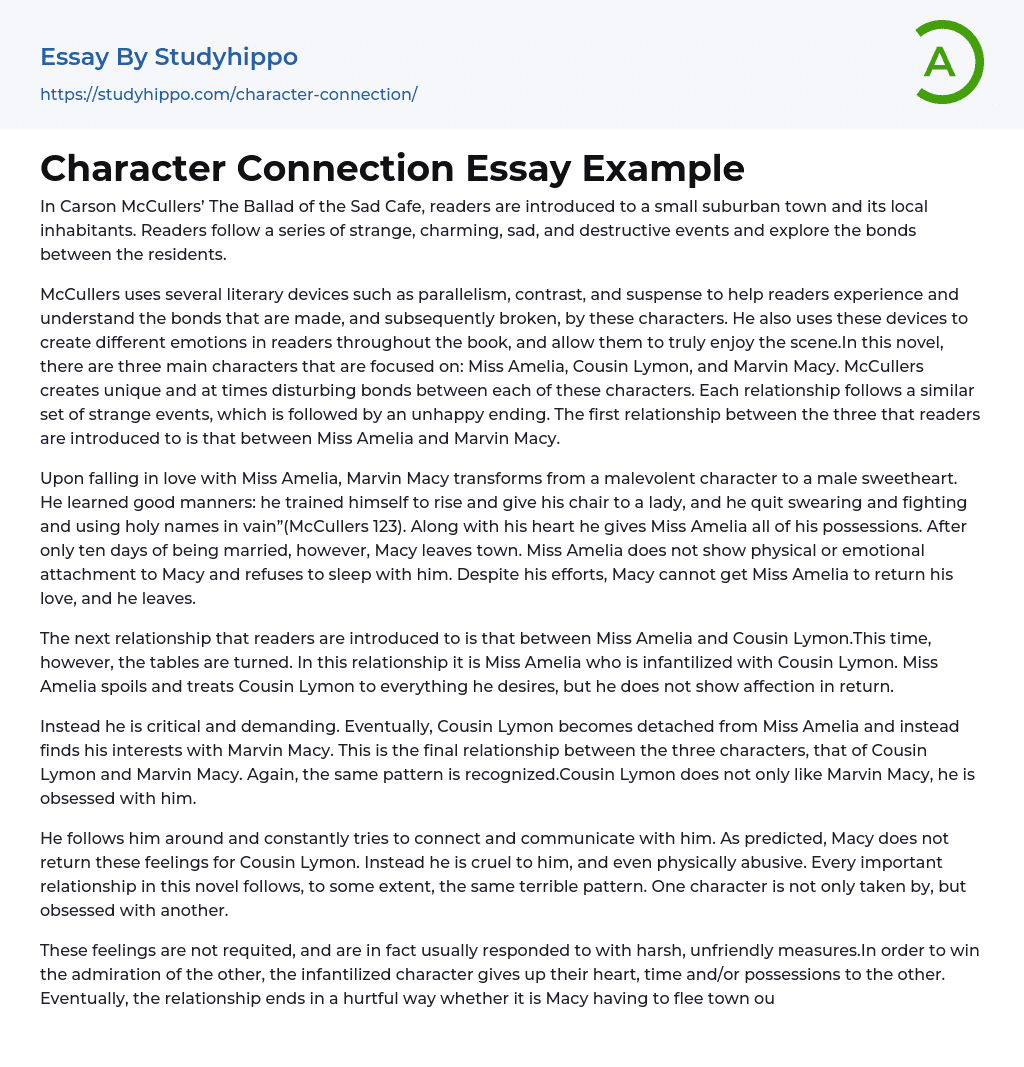 Character Connection Essay Example