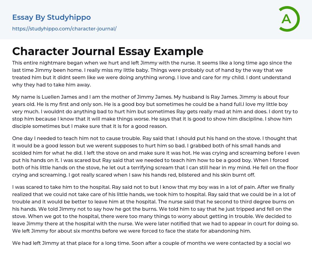 Character Journal Essay Example