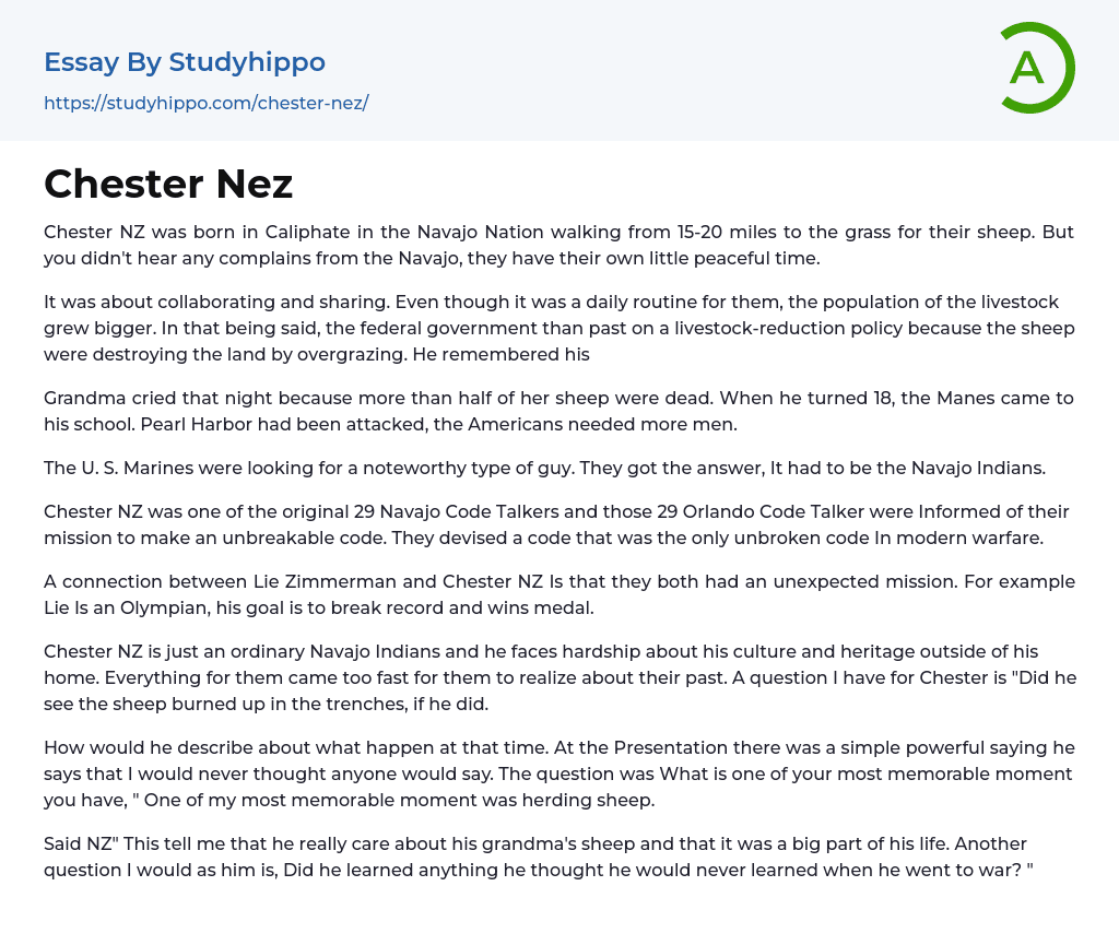 Chester Nez Essay Example