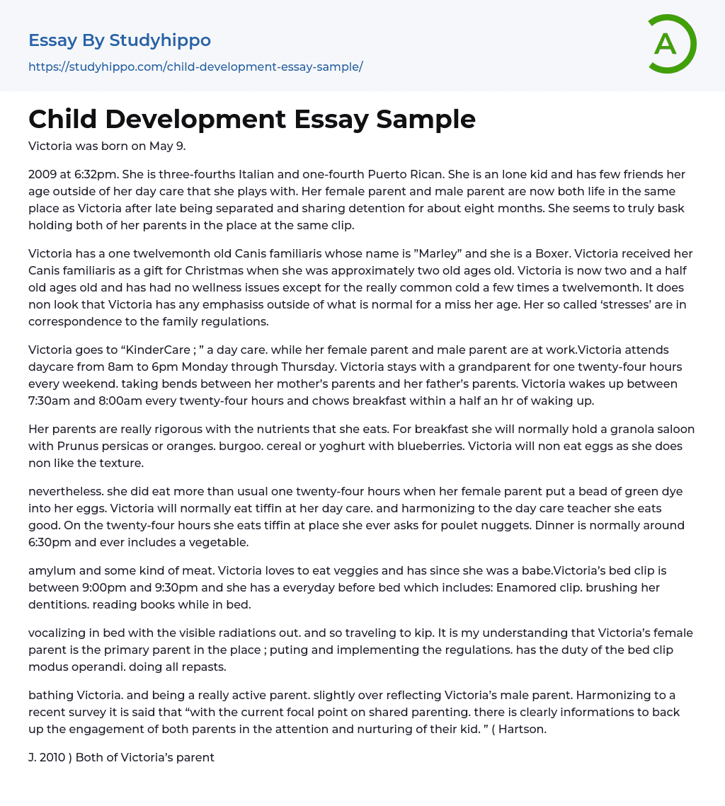 essay about your child