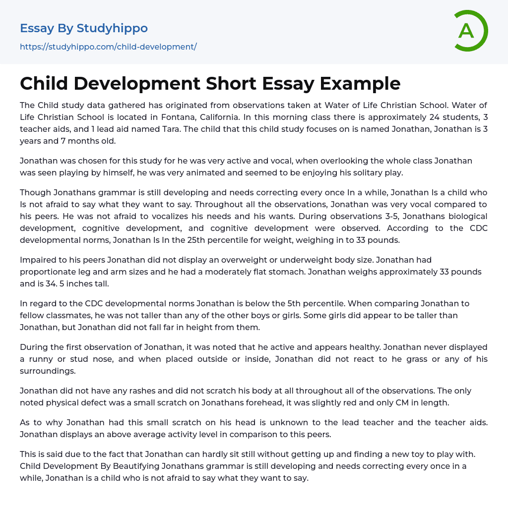 Child Development Short Essay Example