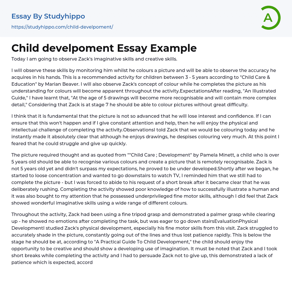 Child develpoment Essay Example