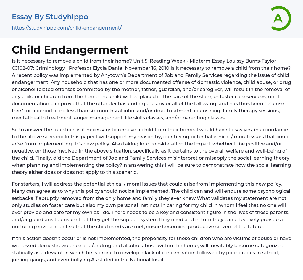 Child Endangerment Essay Example