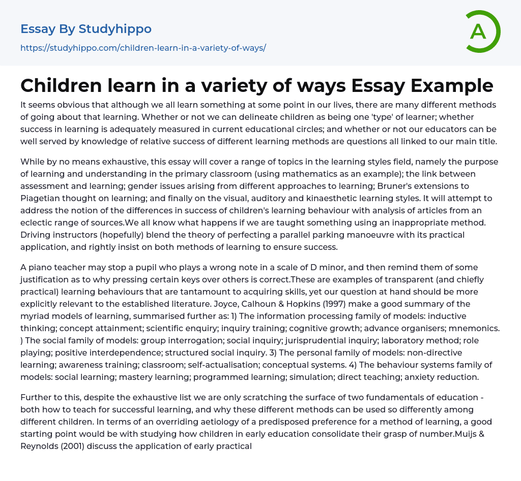 Children learn in a variety of ways Essay Example