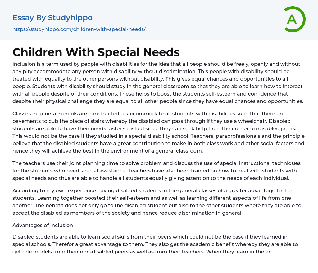Children With Special Needs Essay Example