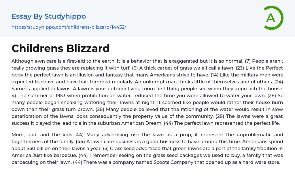 Childrens Blizzard Essay Example