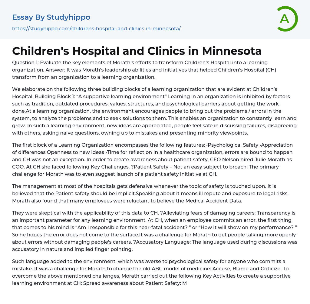 Children’s Hospital and Clinics in Minnesota Essay Example