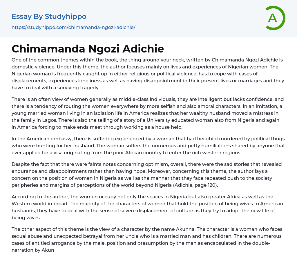 Chimamanda Ngozi Adichie Essay Example