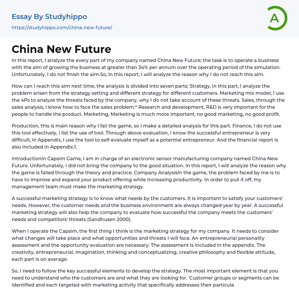 China New Future Essay Example