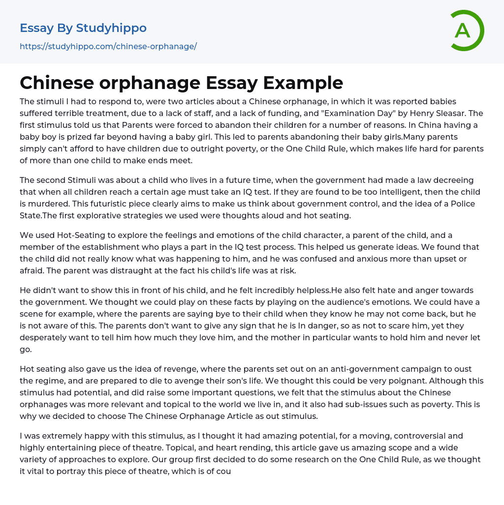 Chinese orphanage Essay Example