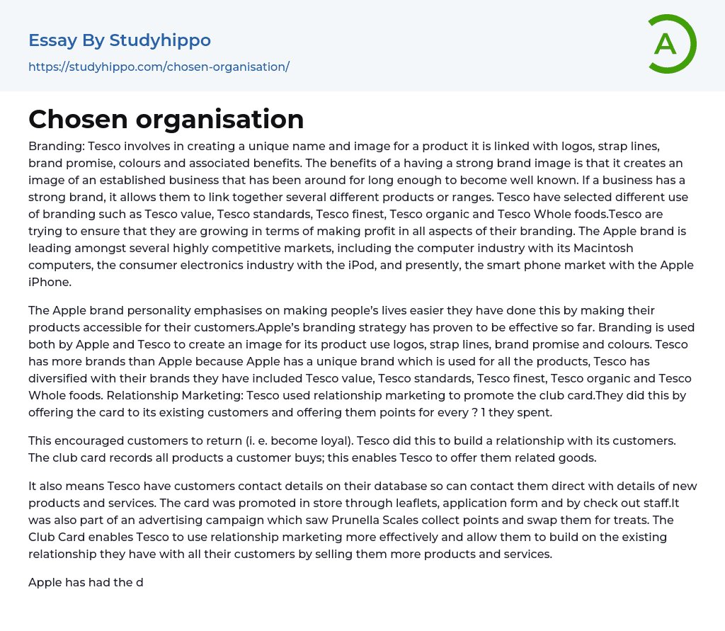 Chosen organisation Essay Example