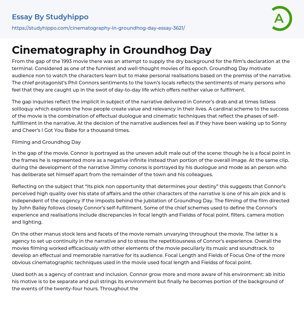 Cinematography in Groundhog Day Essay Example