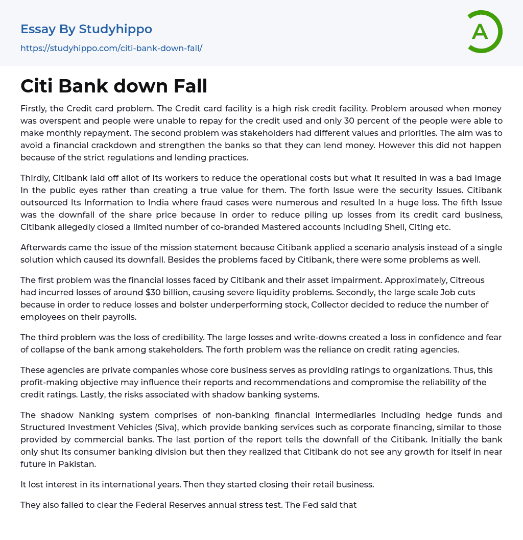 Citi Bank down Fall Essay Example