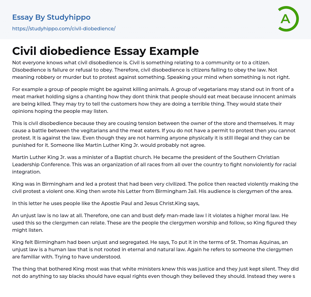 Civil diobedience Essay Example