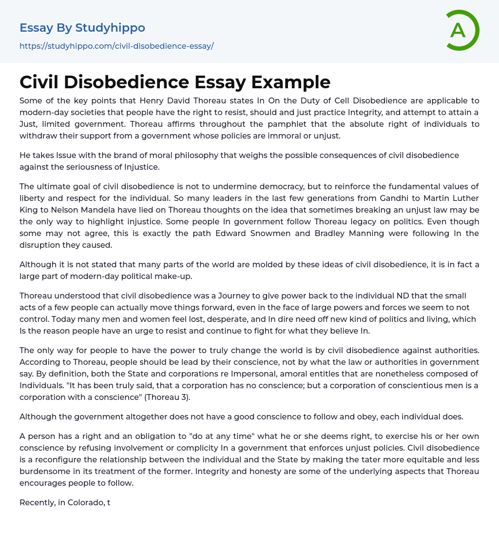 Civil Disobedience Essay Example