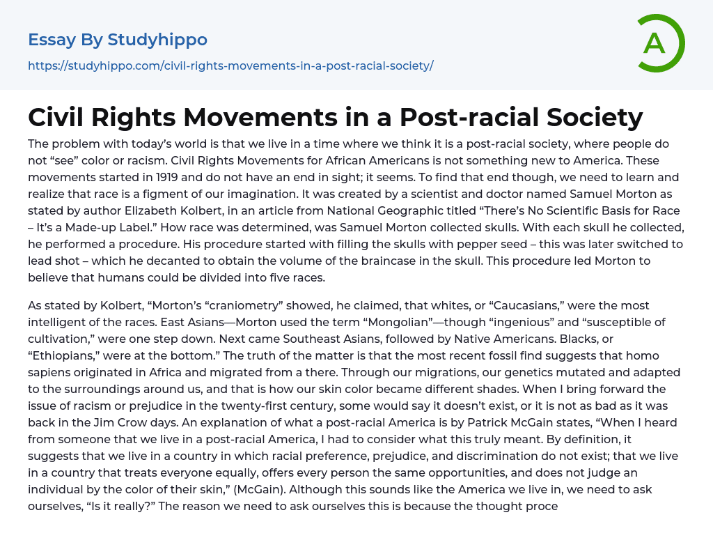 Civil Rights Movements in a Post-racial Society Essay Example